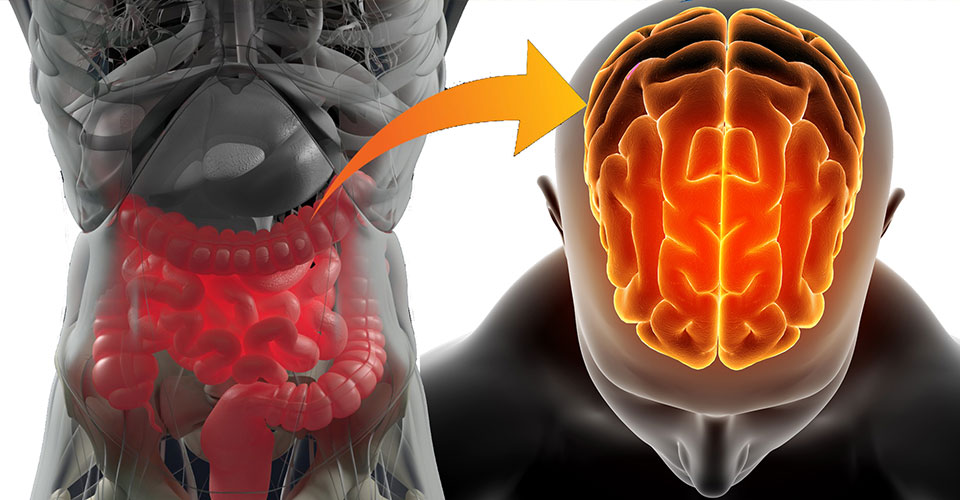 Teoria dei due cervelli - causa colon irritabile