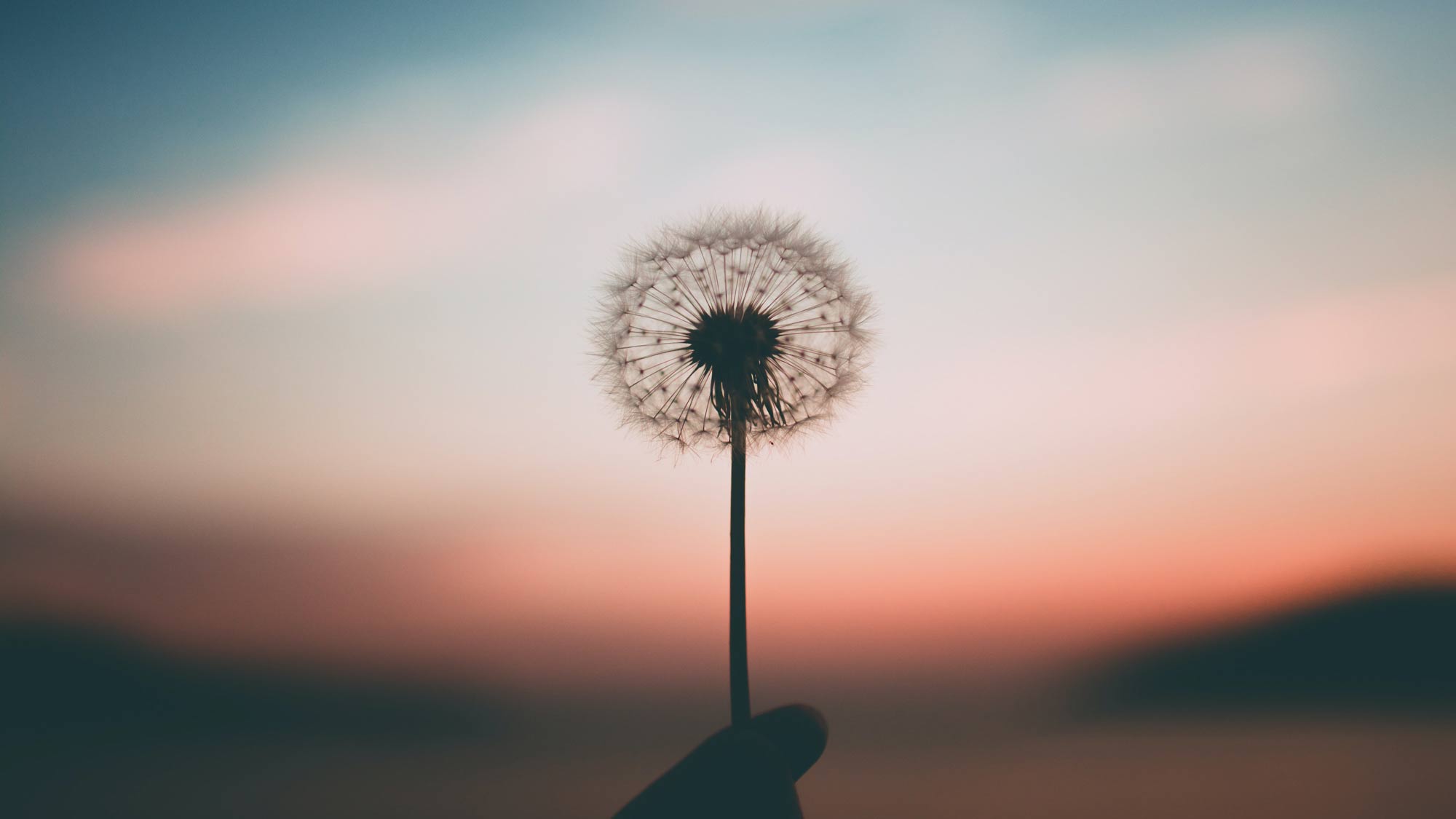 aleksandr-ledogorov-G-JJy-Yv_dA-unsplash_hero