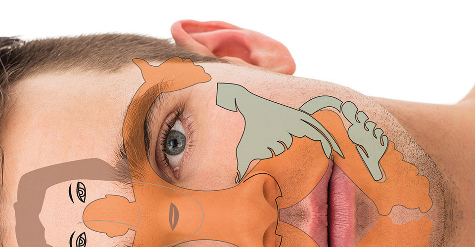 riflessologia del viso mappa del corpo